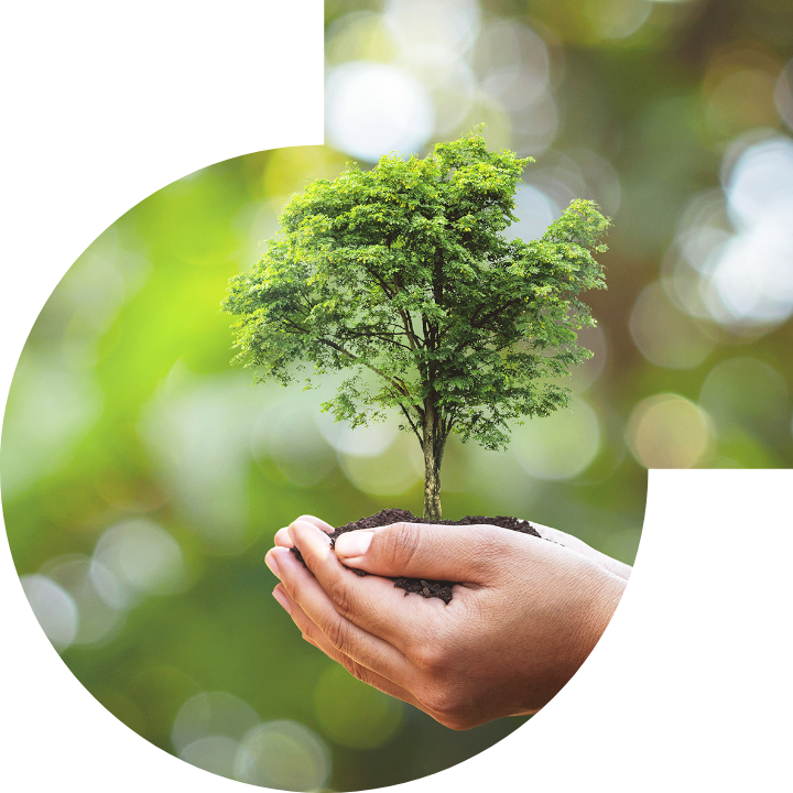 關懷人類、文化、環境與社會